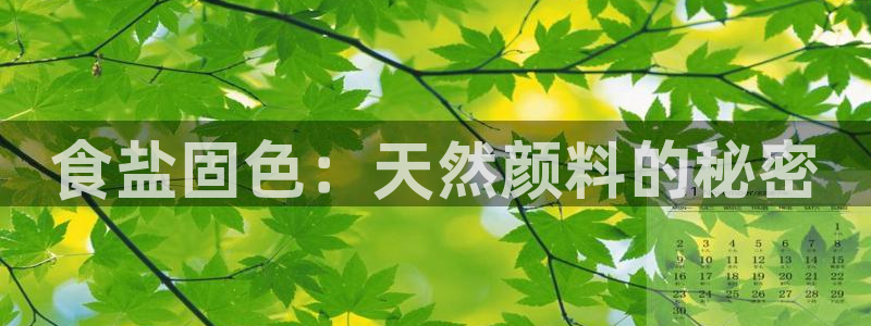 威九国际78mb下载