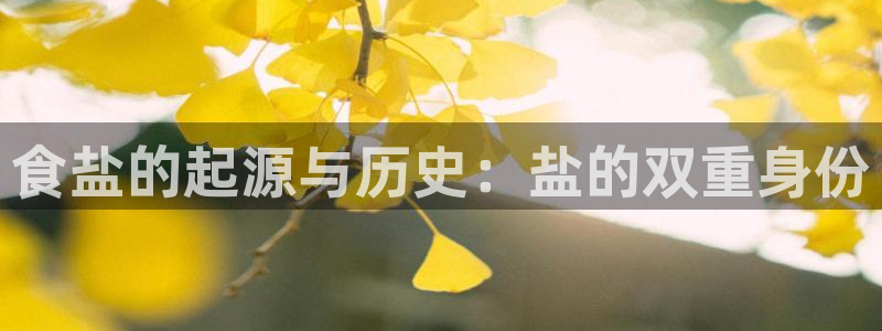 威九国际Sxsx