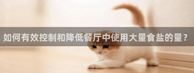 威九国际网站入口官网免费