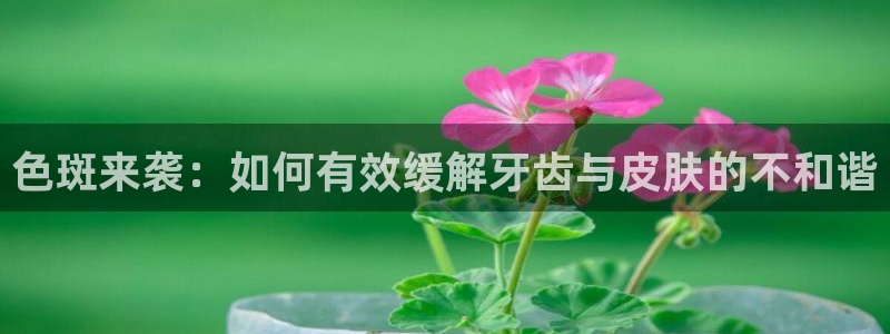 威九国际发布新版eBzxin2Tp