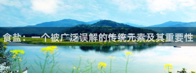 威九国际app