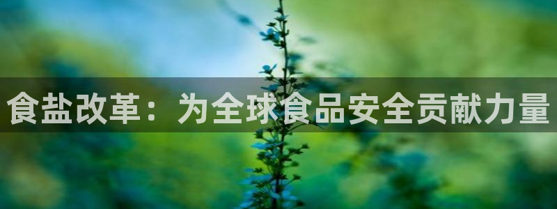 威九国际网站进入客服中心