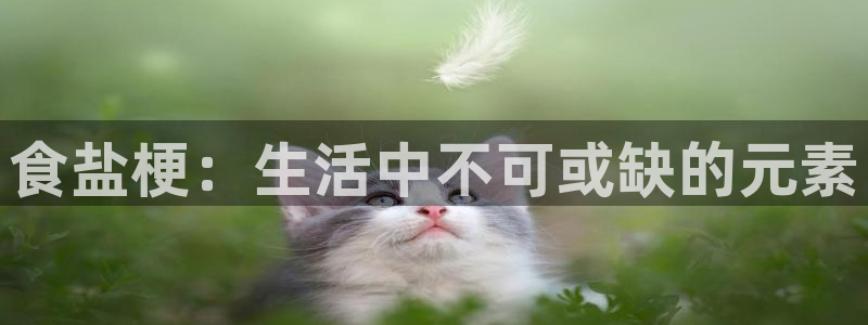 威九国际78mob游戏亮点