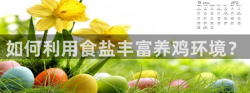 威九国际精免费下载