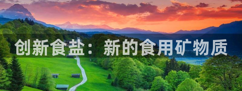 威九国际演员表