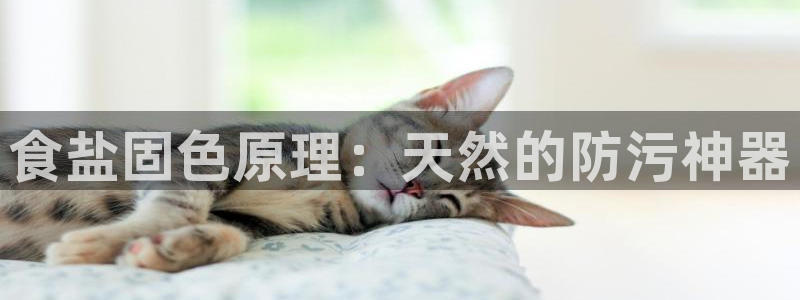 威九国际网站为什么不禁止