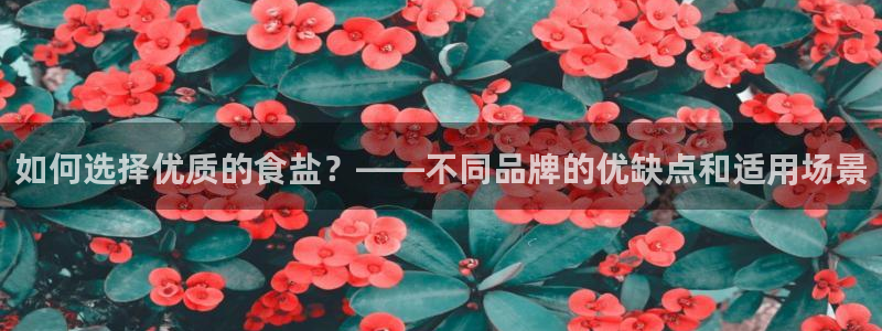 威九国际Info