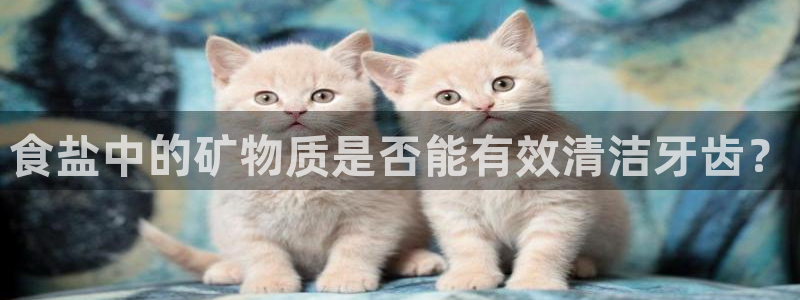 威九国际提款不出来