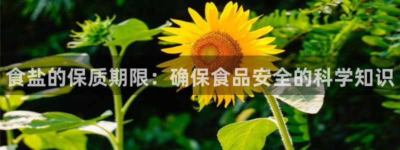 威九国际66m免费下载