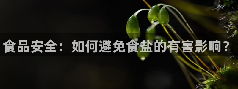 保定威九网络科技有限公司怎么样