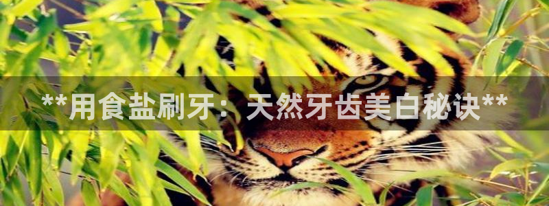 78mapp威九国际媒体央视